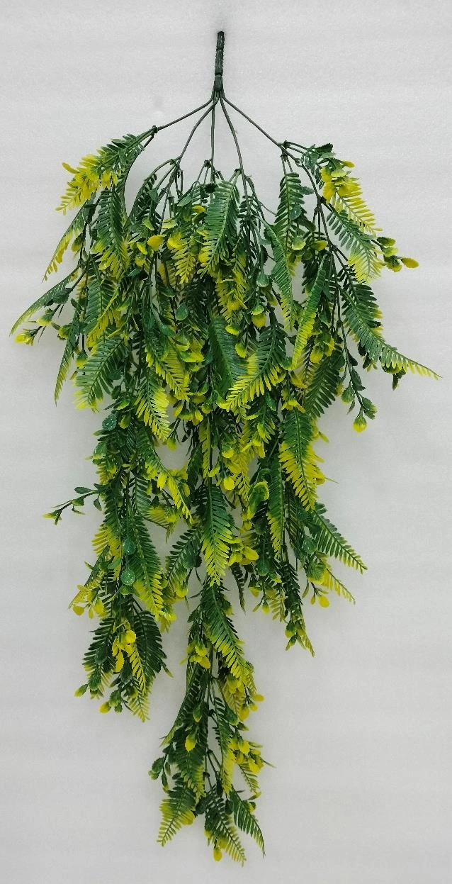 Ghoda Palm Pudina Leaves Creeper 100cm